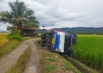 Satu Unit Truk Bermuatan Beras di Saniang Baka Terperosok Masuk Sawah