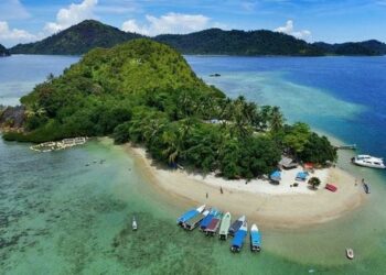 Kawasan Wisata Mandeh Akan Dibangun Konservasi Lumba-Lumba di Tengah Laut