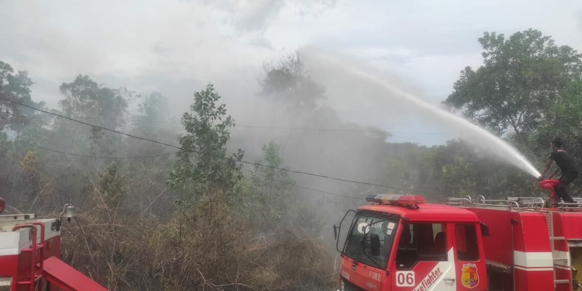 Meningkat dari Tahun Sebelumnya, Sebanyak 89 Kali Kebakaran Hutan dan Lahan Terjadi di Kota Solok