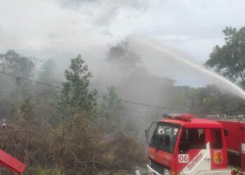 Meningkat dari Tahun Sebelumnya, Sebanyak 89 Kali Kebakaran Hutan dan Lahan Terjadi di Kota Solok
