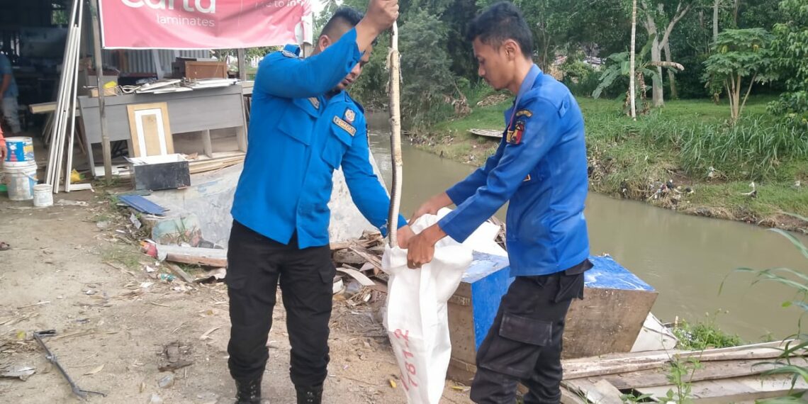 Sejak Januari hingga Desember 2022, 140 Kali Evakuasi Ditangani Damkar Kota Solok, Paling Banyak Ular