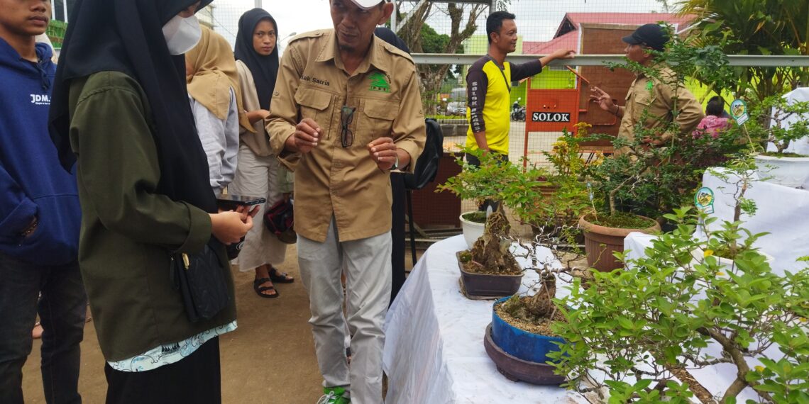 Komunitas PBS Kenalkan Ilmu Botani Lewat Jemur Bonsai
