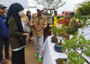 Komunitas PBS Kenalkan Ilmu Botani Lewat Jemur Bonsai