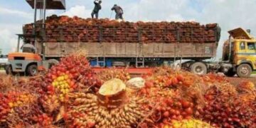 Volume Ekspor Komoditas Tumbuhan Asal Sumbar Capai 1,1 Juta Ton Sepanjang Tahun 2022