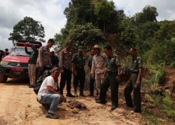 Gajah Sumatera yang Ditemukan di Sijunjung Diperkirakan Beusia 5-8 Tahun