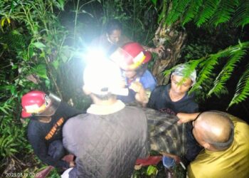 Mobil Pick Up dengan 12 Penumpang Masuk Jurang Sedalam 15 Meter di Solok