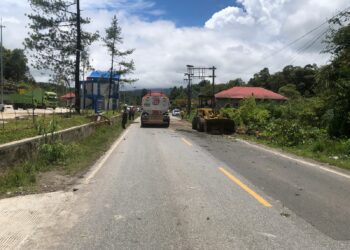 Pohon Tumbang yang Sempat Tutup Akses Jalan di Depan UPPKB Lubuk Lasih, Kini Sudah Bisa Dilewati Kembali