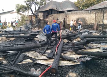 Kebakaran di Kawasan Seribu Rumah Gadang Solsel Diduga Akibat Korsleting Listrik Ternak Ayam, Kerugian Mencapai 1,4 Milliar