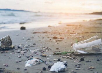 Mikroplastik : Bagaimana Dampaknya Bagi Lingkungan