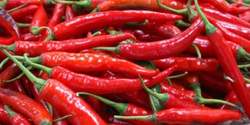 BPS Catat Kenaikan Harga Cabai Merah Jadi Penyumbang Inflasi Sumbar pada Februari 2023