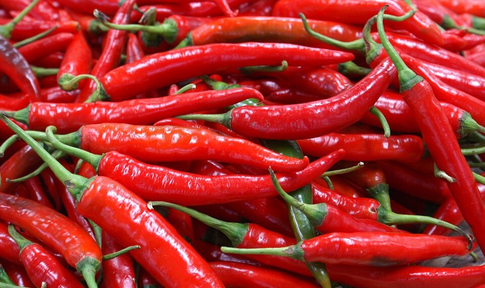 BPS Catat Kenaikan Harga Cabai Merah Jadi Penyumbang Inflasi Sumbar pada Februari 2023