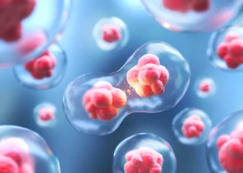 Mengenal Stem Cell, Riset Pengobatan yang Baru Diluncurkan Unand