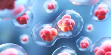 Mengenal Stem Cell, Riset Pengobatan yang Baru Diluncurkan Unand
