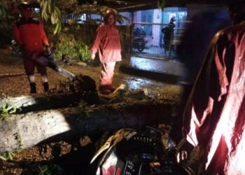 Pengendara Sepeda Motor Tertimpa Pohon Tumbang, Anak Akhirnya Meninggal