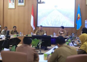 Penerapan Sistem Merit Dalam Manajemen ASN Tahun 2023 Ciptakan ASN yang Profesional