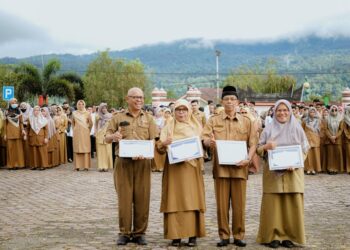 Pemkab Solok Beri Penghargaan kepada ASN Purna Tugas