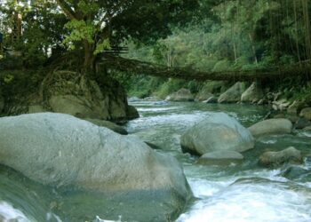 Awal Juli 2023, Pesisir Selatan Gelar Festival Arung Jeram Jelajah Alam Jembatan Akar