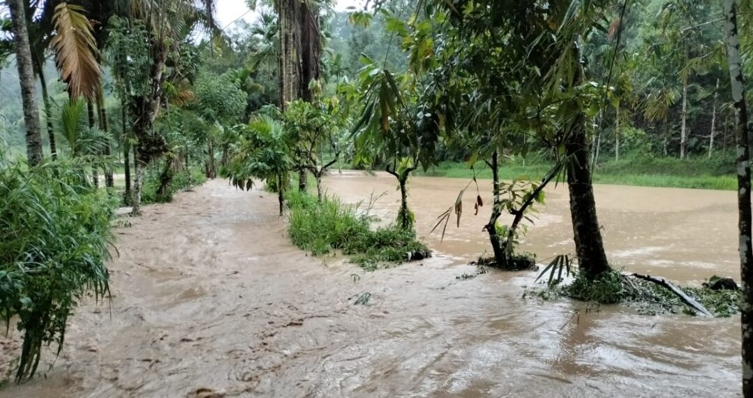 Rumah Tertimpa Longsor di Palupuah Agam, Satu Orang Meninggal