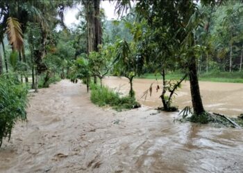 Rumah Tertimpa Longsor di Palupuah Agam, Satu Orang Meninggal