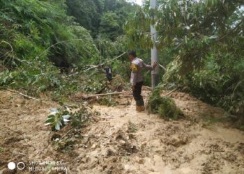 Longsor di Aia Luo Solok Tutupi Jalan Sepanjang 7 Kilometer, Hingga kini Masih Dilakukan Pembersihan