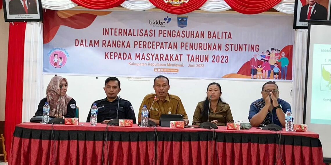 Tekan Stunting, Tim Pokja Edukasi 1.000 HPK BKKBN Pengasuhan Balita di Mentawai