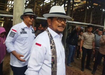 Mentan: Keberhasilan Petani Solok Bisa Imbangi Petani Jawa