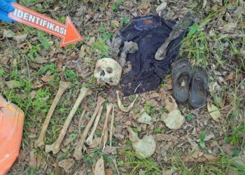 Penemuan Tulang Manusia di Koto Baru Solok, Polisi Lakukan Penyelidikan