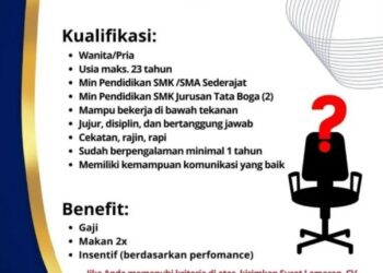 Ada Lowongan Kerja di Hokky Cake and Bakery Padang