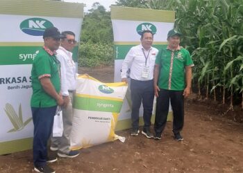 Bertepatan dengan Penas Tani di Padang, Syngenta Meluncurkan Benih Jagung Bioteknologi Pertama di Indonesia