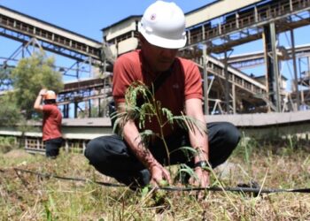 Semen Padang Siapkan 19 Ha Lahan Emplasemen Perusahaan untuk Kaliandra