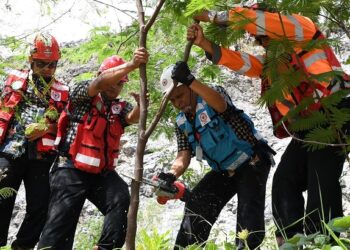 Peringati HUT ke-65 Pengambilalihan Pabrik, Semen Padang Panen Perdana Kaliandra di Area Reklamasi Bekas Tambang Batu Kapur