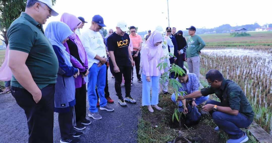 Pengantin Baru di Kota Solok Didorong untuk Menanam Dua Batang Pohon