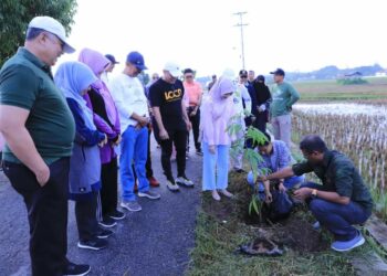 Pengantin Baru di Kota Solok Didorong untuk Menanam Dua Batang Pohon