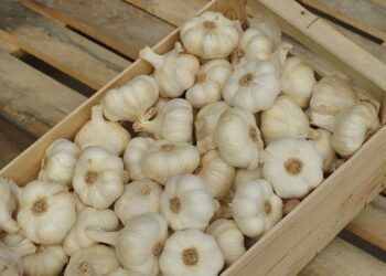 Pantas Harga Bawang Putih Meroket, Masih Impor!