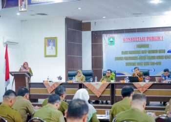 Bahas Isu Pembangunan Berkelanjutan, DLH Kabupaten Solok gelar KLHS RPJPD