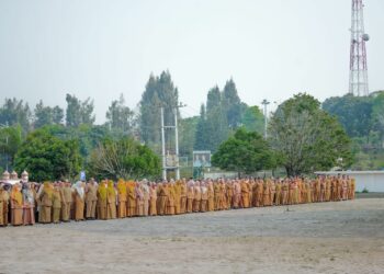 ASN dan THL di Pemkab Solok Diwarning Soal Dukungan kepada Peserta Pemilu di Medsos