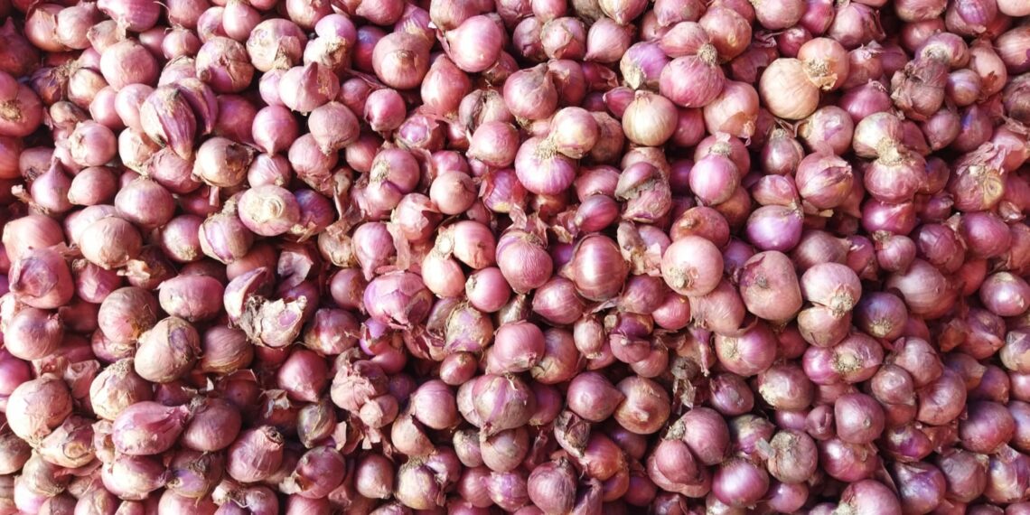Harga Bawang Merah Anjlok, Sekilo Hanya Rp 7 Ribu