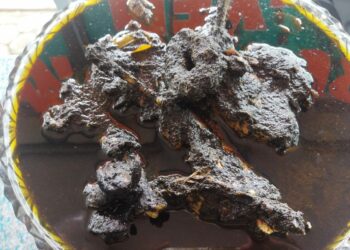 Samba Ayam Itam, Makanan Khas Minang yang Wajib Dicicipi Jika ke Sulik Aia Solok