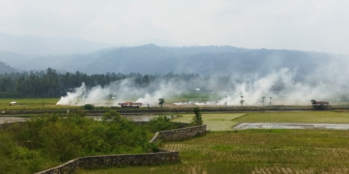Dianggap Dapat Memperparah Kabut Asap, Petani di Solok Diminta Hindari Bakar Jerami
