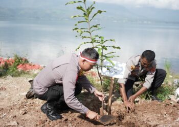 Penanaman 10 Juta Pohon Polri, Polres Solok Hijaukan Tepian Danau Singkarak