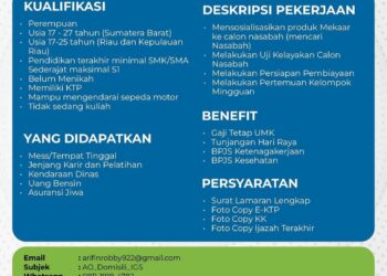 Lowongan Kerja PNM Grup Posisi Account Officer, Berikut Persyaratannya!