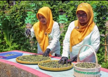 Berkat BRInita, Teh Herbal Jadi Produk Unggulan Poktan Bensor Semarang