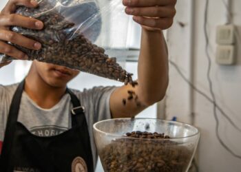 Kopi Ini Jangkau Pasar Lebih Luas Berkat Pemberdayaan BRI “KlasterkuHidupku”