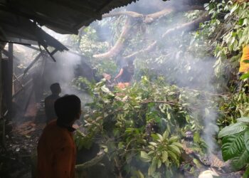 Proses evakuasi terhadap pohon tumbang yang menimpa rumah warga di Padang.