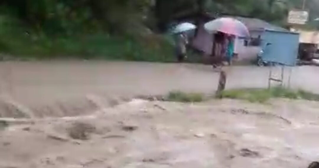Banjir di Cupak dan Koto Baru, Lahan Pertanian Terendam dan Ratusan Jiwa Terdampak