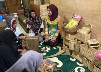 Menengok Klaster Usaha Binaan BRI, Manfaatkan Hama Eceng Gondok Jadi Anyaman Bernilai Tinggi