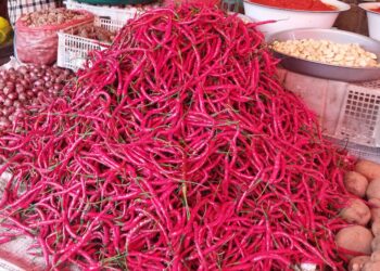 Harga Cabai Merangkak Naik, Capai Rp 80 ribu per Kilogram