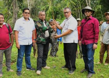 Dibantu Bibit Semen Padang, Kelompok Tani Tanjuang Gadang Tanam 10.000 Kaliandra Merah