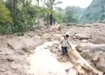 Kerugian Bencana Banjir Bandang dan Longsor di Pesisir Selatan Capai 170,4 Miliar
