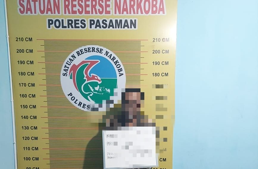 Satresnarkoba Polres Pasaman Ringkus Pengedar Narkoba, 250 Paket Ganja Disita